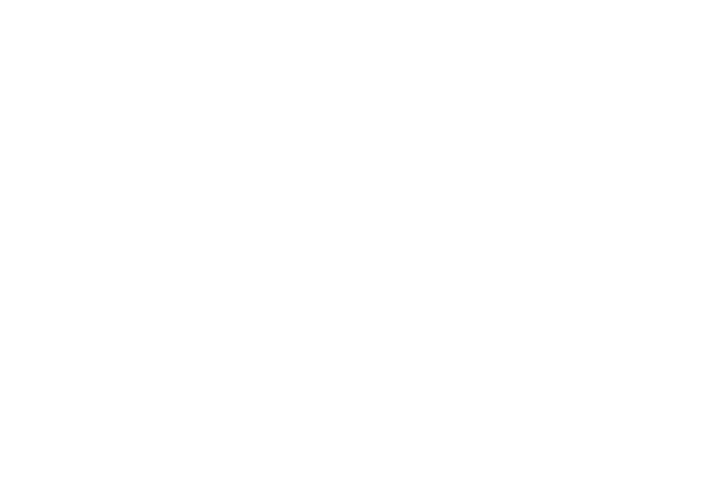MTB Modules